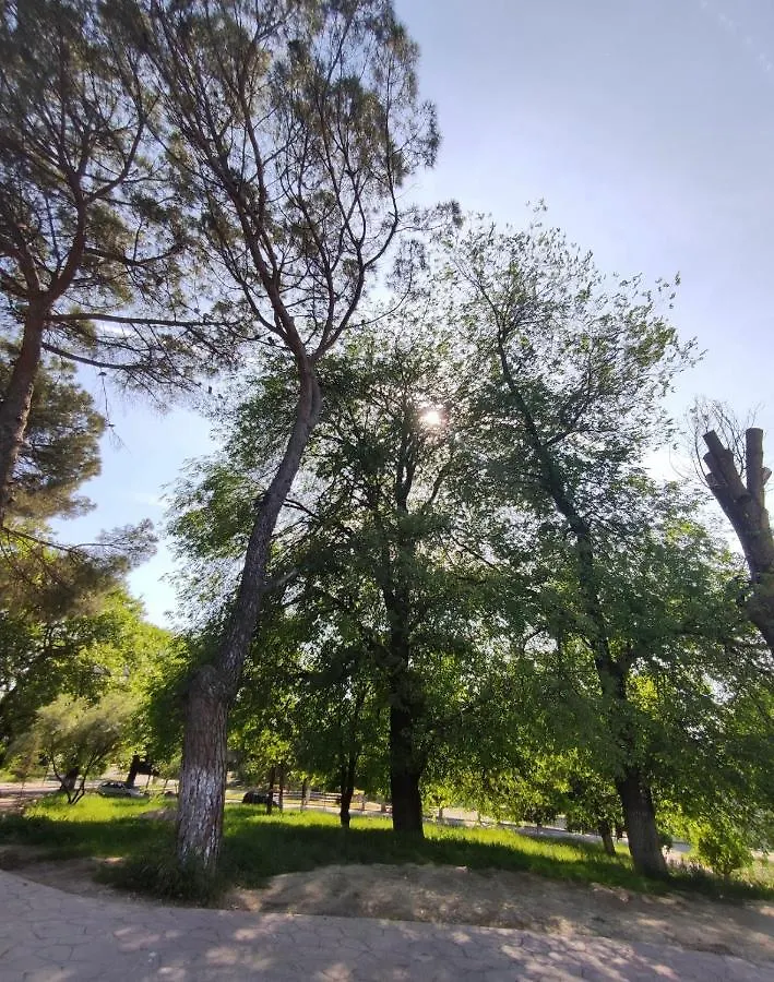 Διαμέρισμα Dardana&Gerjon Apartament Kamez Αλβανία